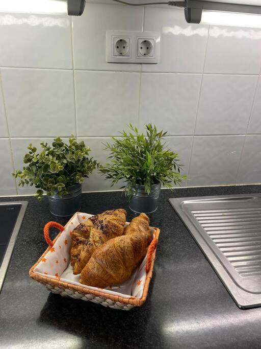 Puskas Apartman كوستا دي أنتيجوا المظهر الخارجي الصورة